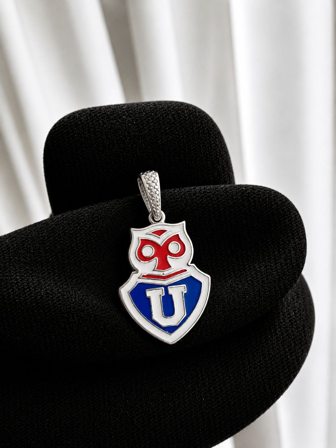 Medalla U. De chile con resina grande