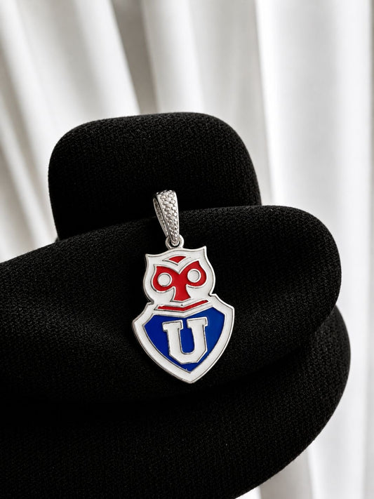 Medalla U. De chile con resina grande